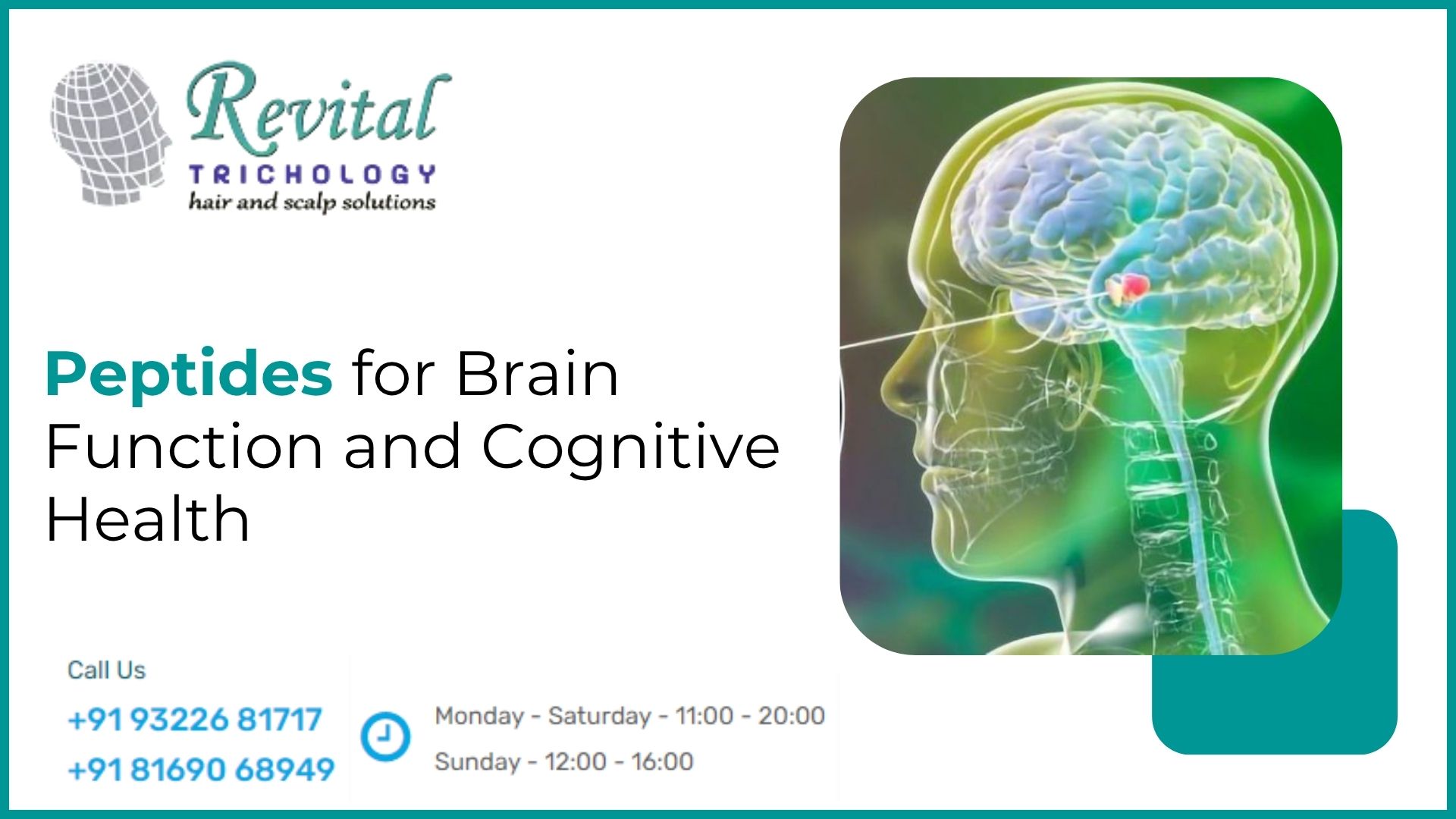 Peptides That Improve Brain Function and Cognitive Health