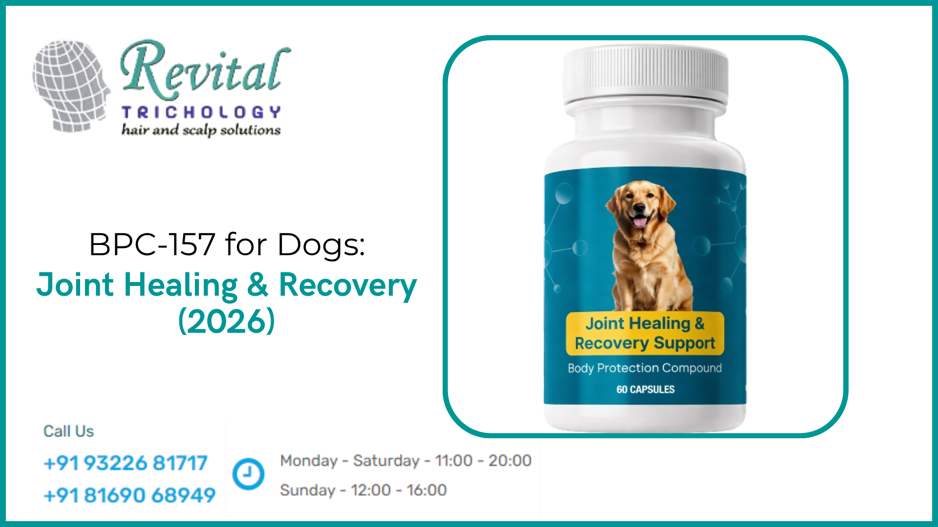 BPC-157 and Its Potential Benefits for Dogs & Animals (2026): A Regenerative Approach to Joint Health, Healing & Longevity