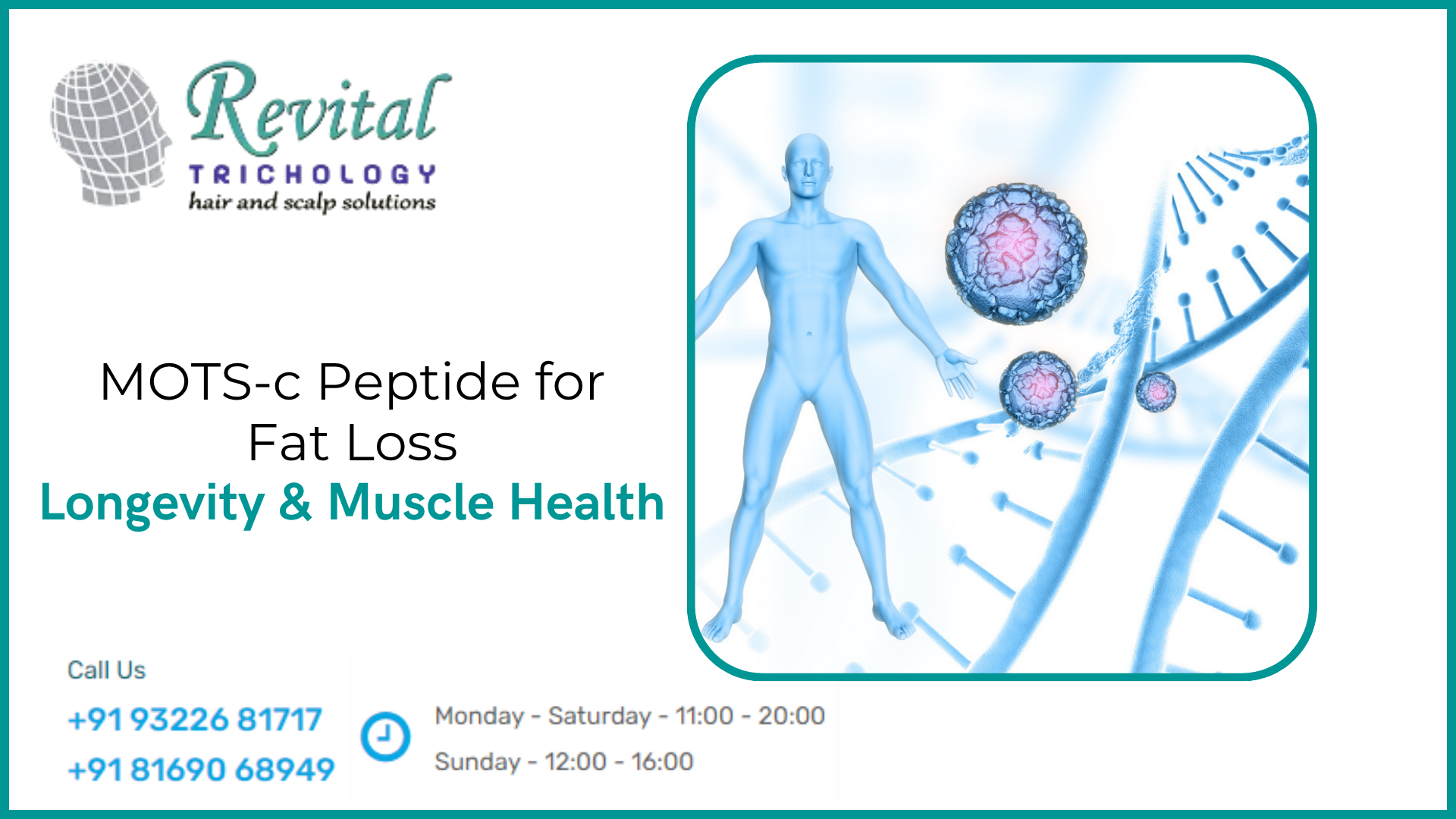 MOTS-c Peptide: The Mitochondrial Anti-Aging Peptide Reshaping Fat Loss, Longevity, Muscle Health & Metabolic Wellness