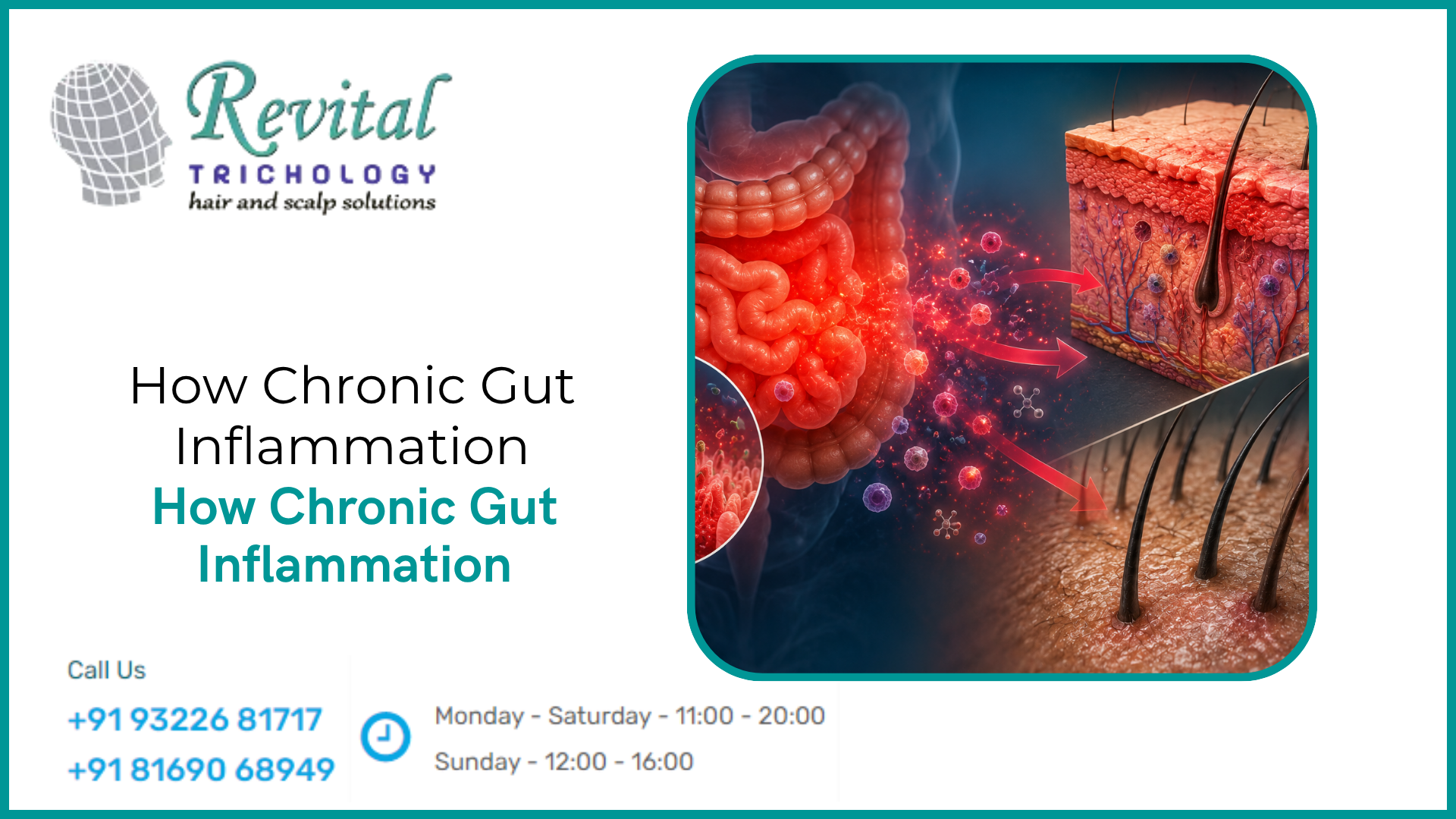 How Chronic Gut Inflammation Affects Your Skin and Hair