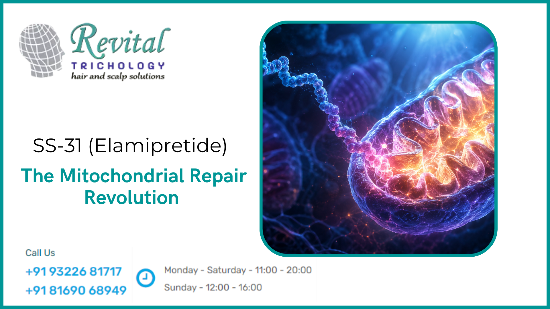 SS-31 (Elamipretide): The Mitochondrial Repair Peptide Revolution