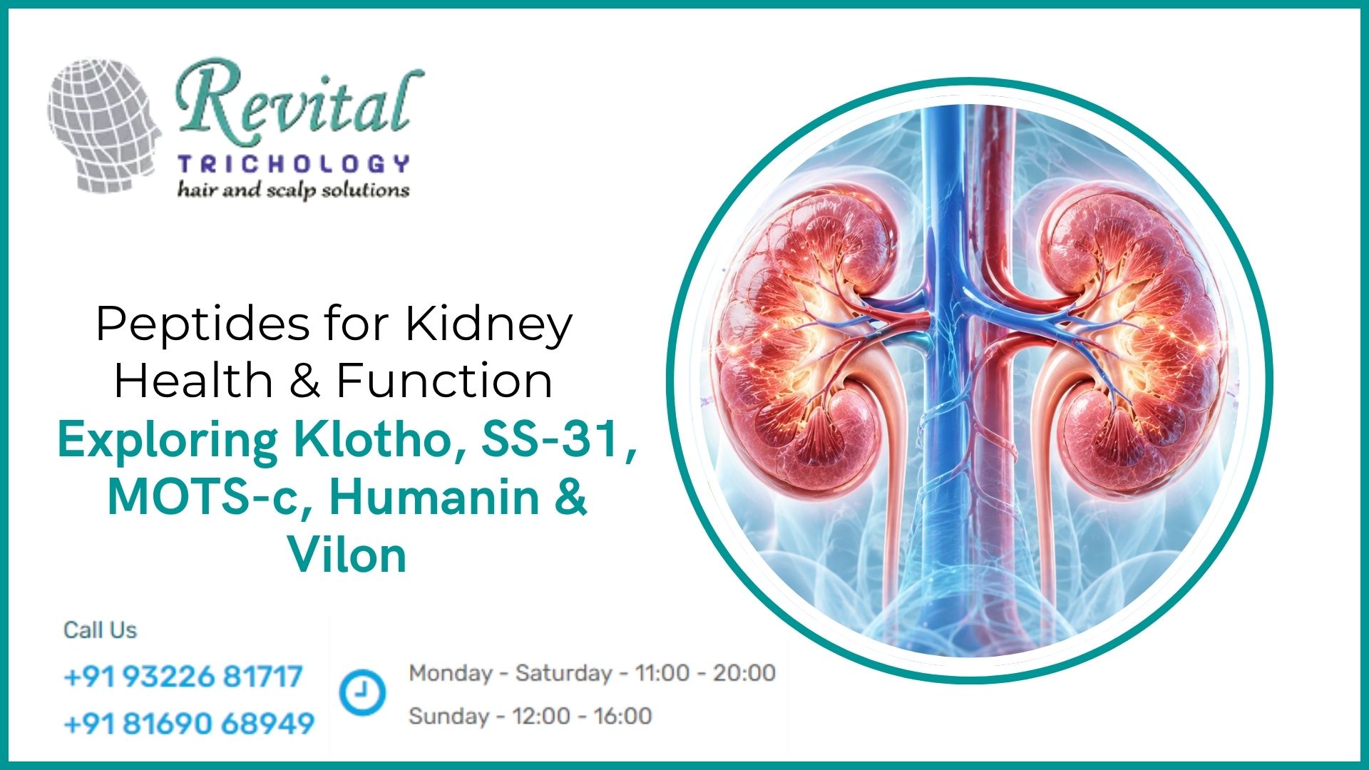 Peptides for Kidney Function and Kidney Health: Klotho, SS-31, MOTS-c, Humanin & Vilon
